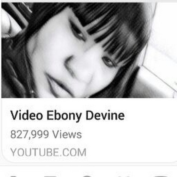 Meet your Posher, Ebony - Picture 1 of 1